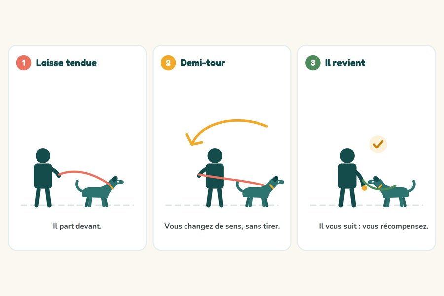Illustration d'un exercice